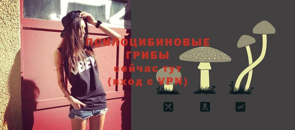 экстази Пестово