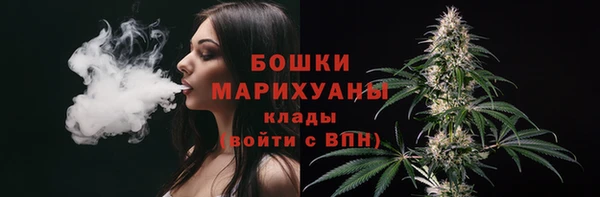 бошки Переславль-Залесский