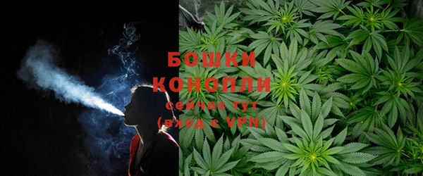 бошки Переславль-Залесский