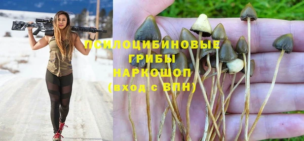 MESCALINE Галич